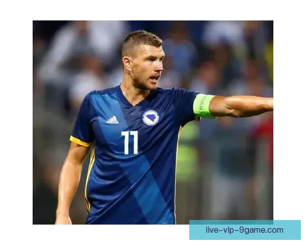 聚焦波黑足球超级联赛直播全程精彩赛事解析与看点前瞻深度报道